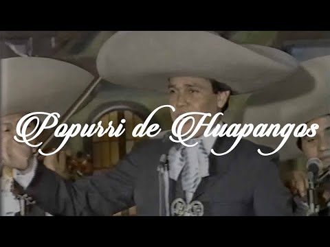 Popurrí de Huapangos - Mariachi Los Galleros De Pedro Rey