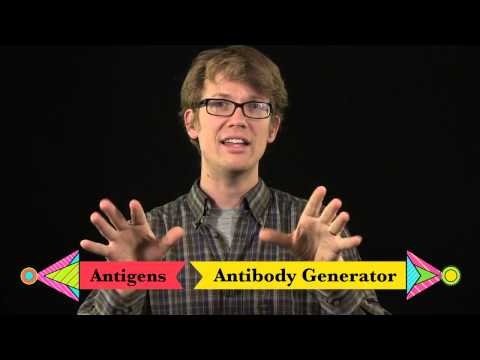 Your Immune System Natural Born Killer - Crash Course Biology #32