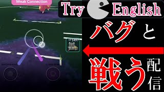 バグと戦う？配信！