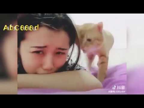 The reaction of cats when seeing their owners sad ...