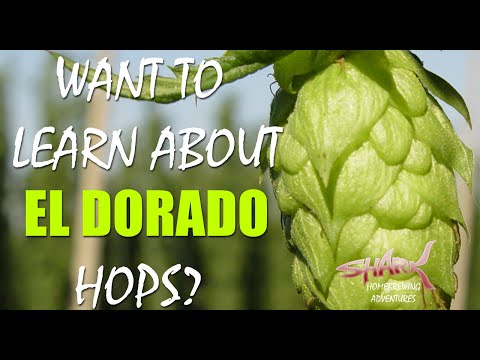Surprising facts about El Dorado Hops