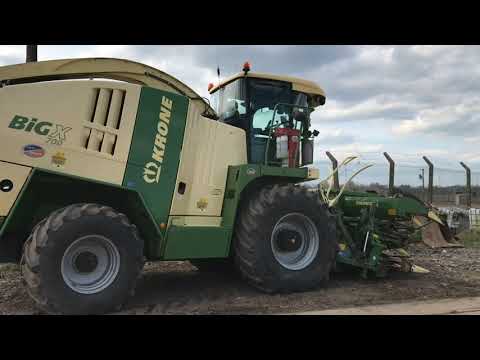 Tractors🚜Cows🐄Sheep🐑