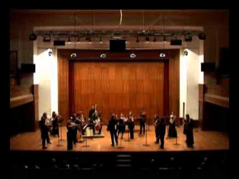 Ensemble Metamorphosis-Dragana S Jovanovic "Winter"(Incanto d'inverno)  for viola and orchestra