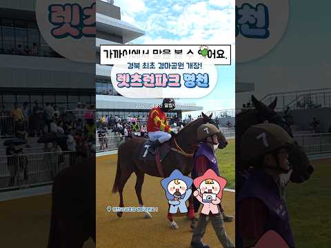 [2026새영천알림이단✨] 경북 최초이자 국내 4번째 경마공원! 렛츠런파크 영천 개장!