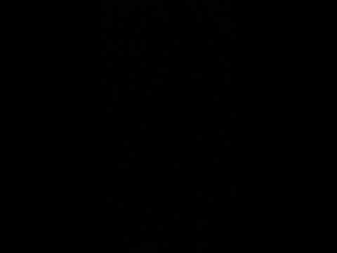 F charm - Animale de prada