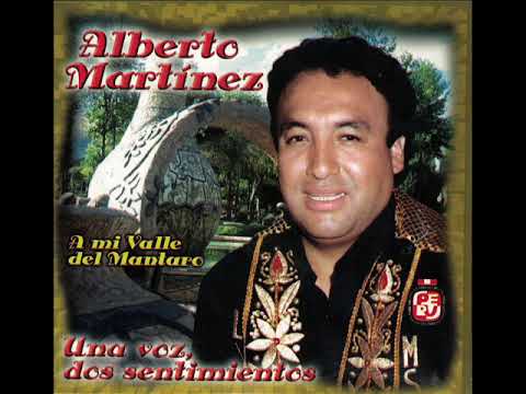 ALBERTO MARTINEZ Hojas sin destino (Huayno Huancayo) - Cover Audio