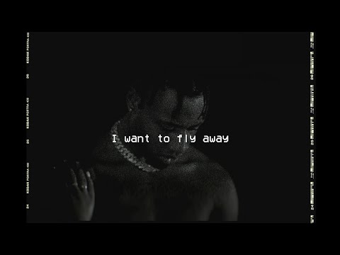 Yung Shakur - fly away (Official Music Video)