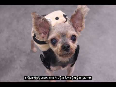 기본썸네일이미지