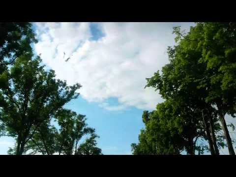 Beat "51" feat. Fokus