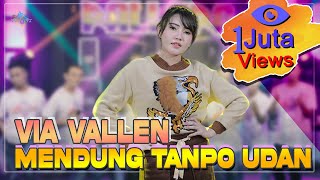 Mendung Tanpo Udan by Via Vallen - cover art