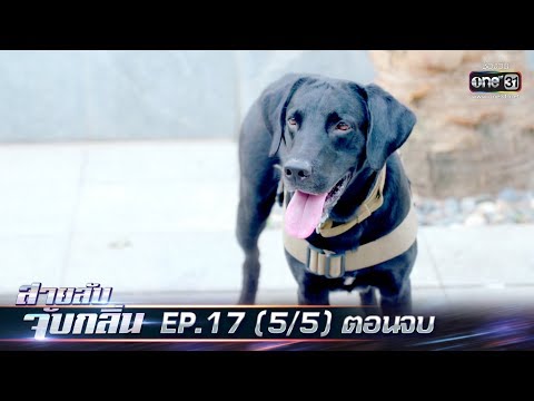 Japan Jav Porn #234136 (02SjNBA5r7k) Thumbnail