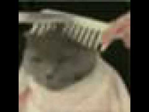 CIRE FT. MOTA JR - VOZES NIGHTCORE