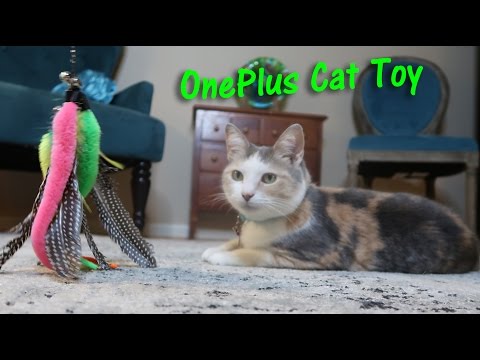👉 Interactive Cat Toy 🐈RETRACTABLE CAT WAND TOY OnePlus Product Review 👈