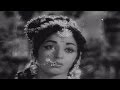 Sri Krishna Pandaveeyam || Krishna Yadubushana Full Video Song || N.T.R, K.R.Vijaya