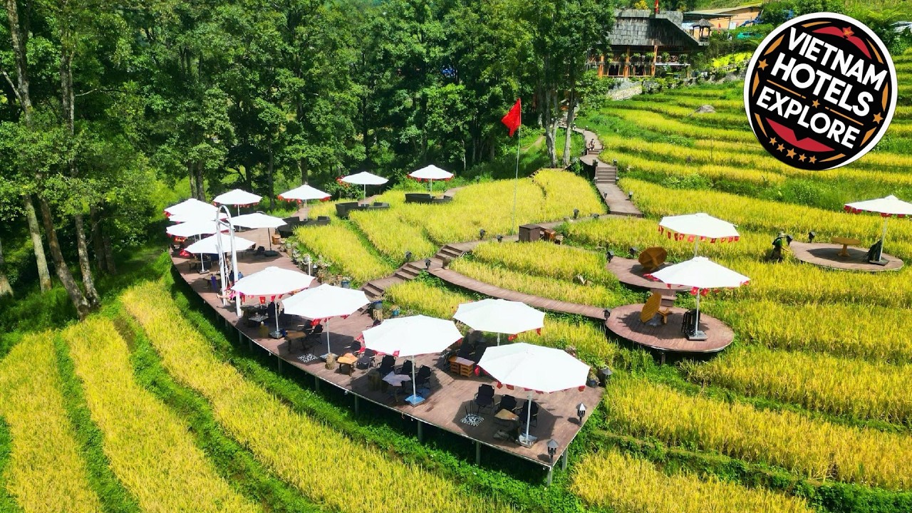 MT House Sa Pa | Sapa, Vietnam | Hotel Review 🏩