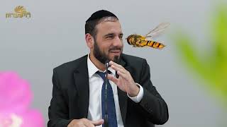 אותו חייב לשרוף! | פרשת ראה | הרב דוד פריוף (הרב דוד פריוף) - התמונה מוצגת ישירות מתוך אתר האינטרנט יוטיוב. זכויות היוצרים בתמונה שייכות ליוצרה. קישור קרדיט למקור התוכן נמצא בתוך דף הסרטון