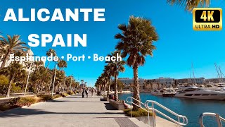 ALICANTE, Spain Walk November 2025 | Esplanade, Port & Postiguet Beach [4K/60fps