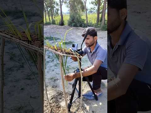 Creative Reverse Effect video ◀️💯 #shorts #creative #photography