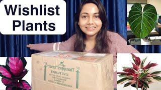 Huge Cheapest Rare Plants Unboxing🪴Online plants shopping in India(Tharappel Nursery Kerela)