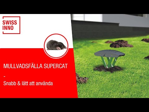 Mullvadsfälla SuperCat SWISSINNO