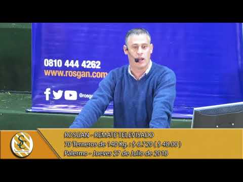 27-07-18 Venta Machos de Invernada - Rosgan - Palermo 2018