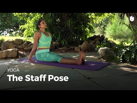 Learn the Staff Pose - Dandasana | Yoga