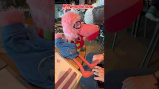 This Pub Crawl on Norwegian Encore Was a VIBE 🥳🍻#travel #cruise #party #shorts