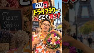 パリでドライフラワーはどこで買う？　の巻￼