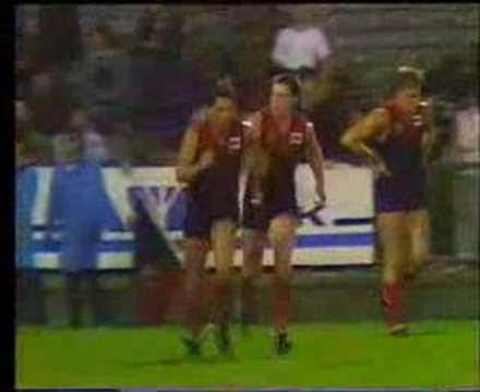 VFL Football Night Grand Final 1987 - Essendon v Melbourne