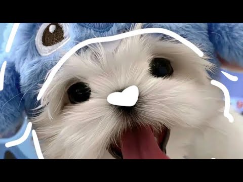 B!w X Ninetom - “ Only you “