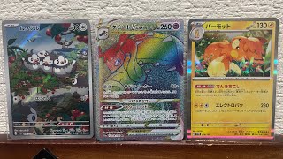 ムックルクチートパーモット再抽選