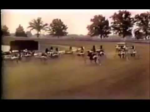 1977 DuQuoin State Fair GREEN SPEED Hambletonian Final Bill Haughton World Record