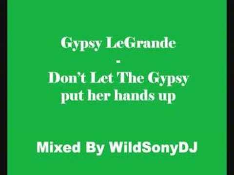 WildSonyDJ - Gypsy Vs Fedde Le Grande