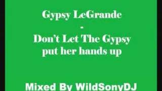 WildSonyDJ - Gypsy Vs Fedde Le Grande