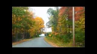 NH Autumn Drive (Jose Padilla - Dragonflies Cantoma Remix)