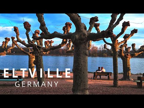 Historical old town ELTVILLE am Rhein