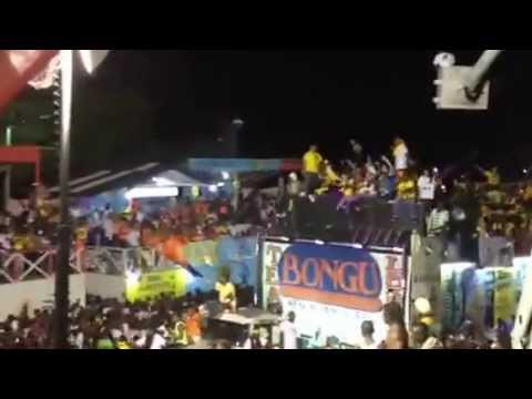 Carnaval des fleurs 2013 (Team Lobey)