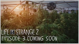 Life is Strange 2 - Episode 2 + Episode 3 (DLC) Steam Key EUROPE