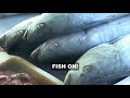 Primus - Fish On (Fisherman Chronicles, Chapter II) (Subtitulos en Español)