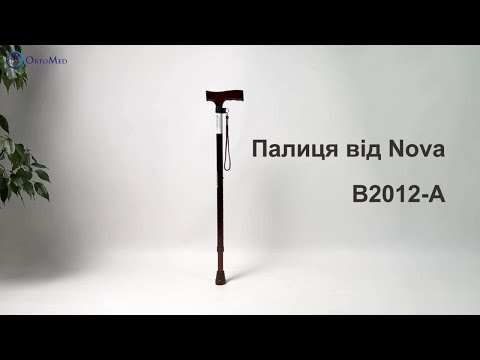 Палиця для опори під час ходьби з Т-подібною ручкою та ремінцем Допомагає зберегти рівновагу Навантаження до 120 кг - фото 1 - id-p2348553548