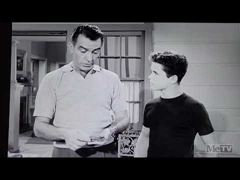 Inappropriate Leave it to Beaver