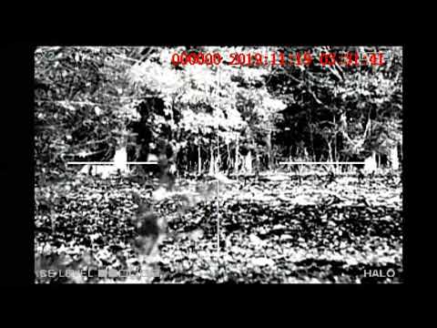 Study long, study wrong.  Starring LWRC 6.8 and N-Vision Halo