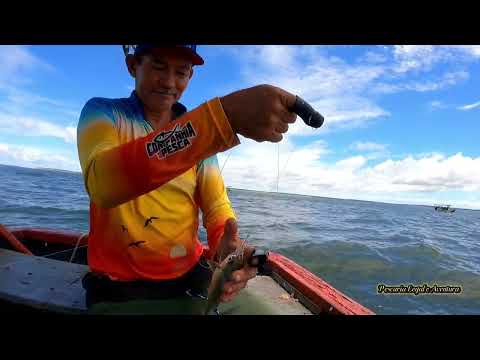 Pegando pescada amarela no Litoral do Maranhão Brasil