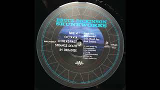 D3  Strange Death In Paradise   - Bruce Dickinson – Skunkworks - 2017 Reissue Vinyl HQ Audio Only