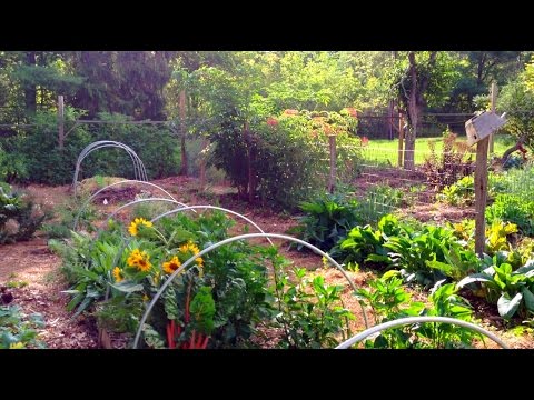 download lagu mp3 mp4 1 Acre Garden Ideas, download lagu 1 Acre Garden Ideas gratis, unduh video klip 1 Acre Garden Ideas