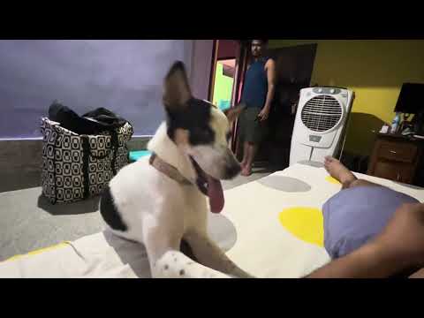 The Hand Eater Kakoli!