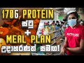 High protein stew recipe - meal plan examples for fat loss and muscle building