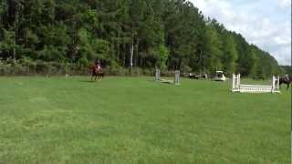 preview picture of video 'Warm Up, WHA 2011-12 Hunter Jumper Series Walk, Trot, Canter Cross Rails Class'