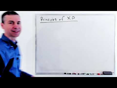 Extreme programming principles