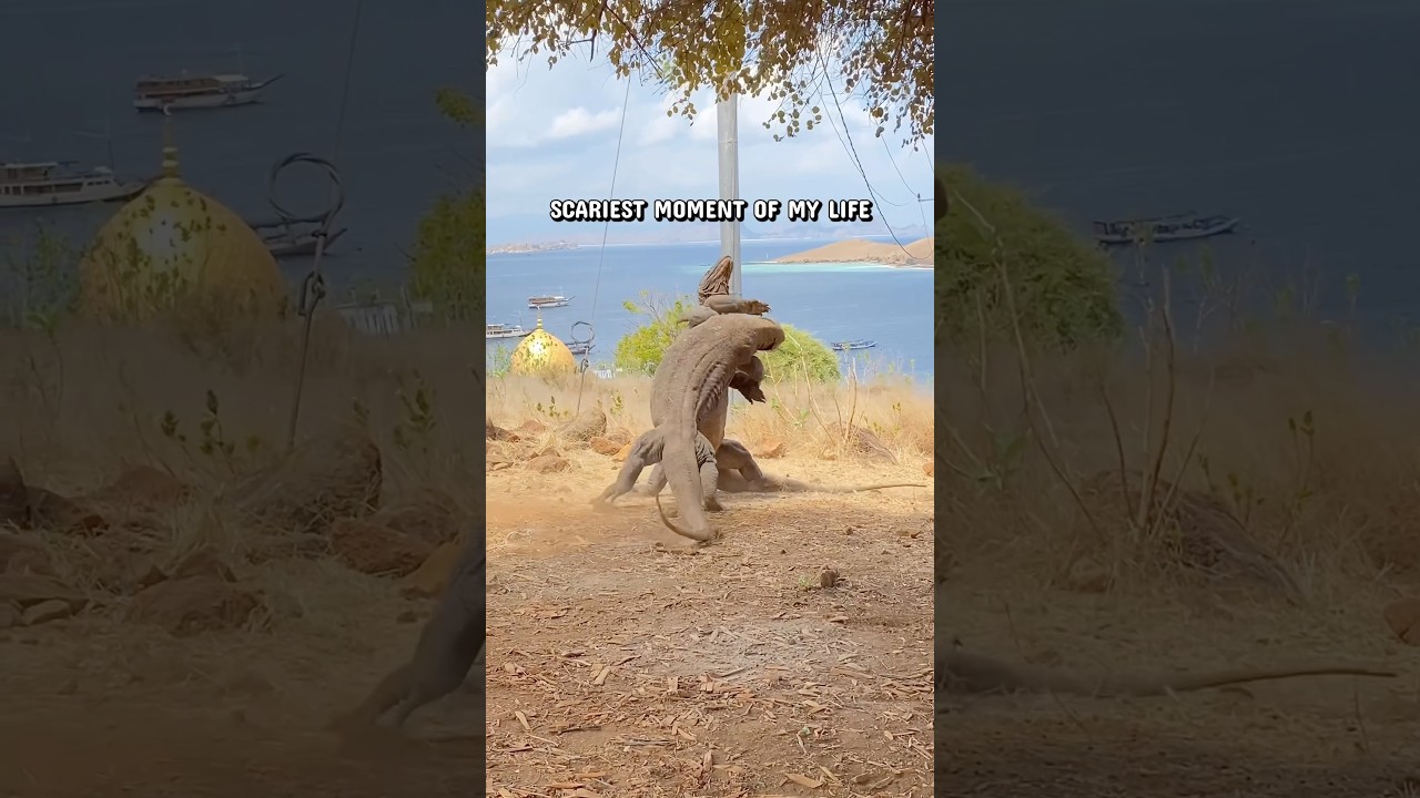 FULL VID ON MY PAGE!!!